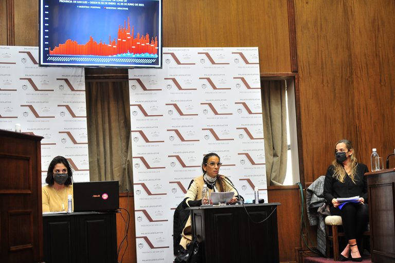 La jefa de Gabinete de Ministros brindó el informe de gestión en la Cámara de Senadores