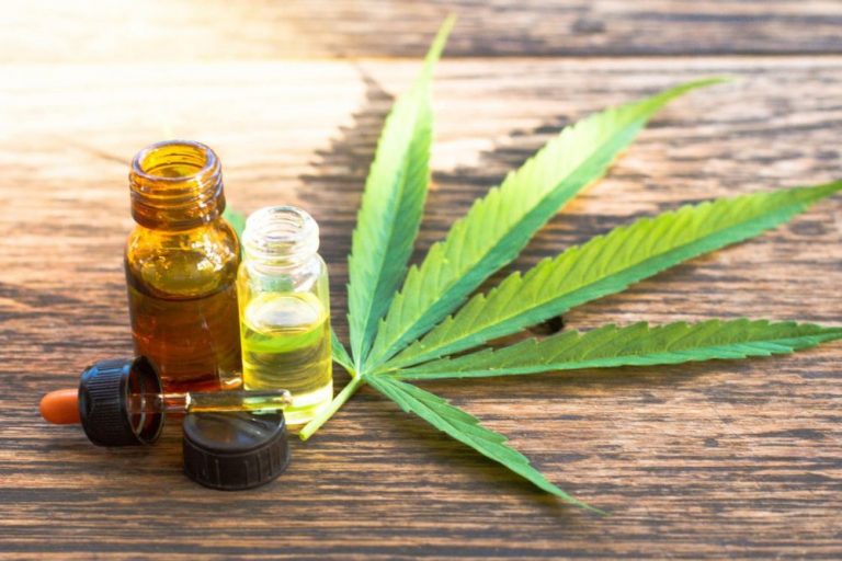 UNSL: Pioneros en el desarrollo integral de Cannabis