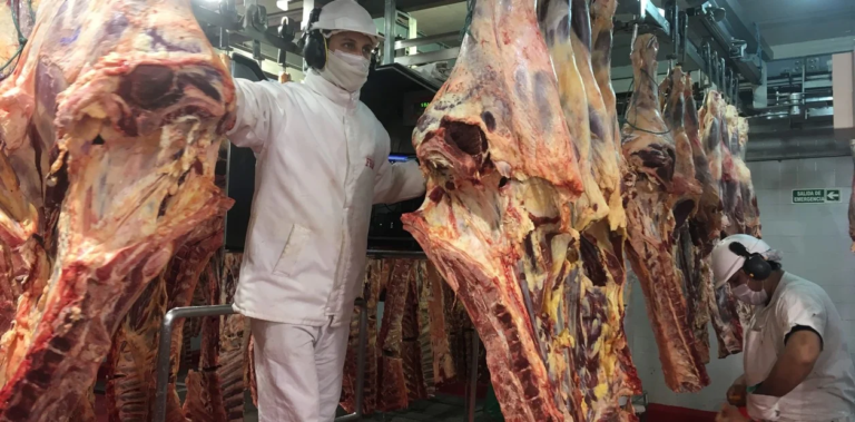 Efecto cepo: en junio las exportaciones de carne en Argentina cayeron 41% mientras que en Uruguay subieron 21%