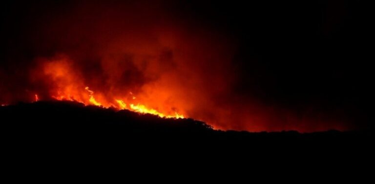 Desastre “sin precedentes” en Cerdeña por los incendios forestales