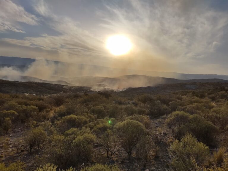 Continúa activo el foco de incendio en Pampa del Tamboreo