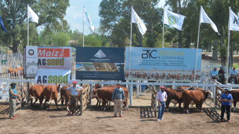 La Rural de San Luis se prepara para la nueva edición de la exposición agroganadera, de granja y comercial