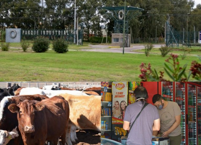 Se reúne el Consejo Económico y Social