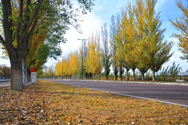 Chau calor: para este martes se espera que bajen las temperaturas, mucho viento y posibles precipitaciones