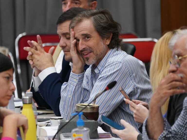 Bertie Benegas Lynch, contra la educación obligatoria: “Puede pasar que no te podés dar el lujo de mandar a tu hijo al colegio porque lo necesitás en el taller”