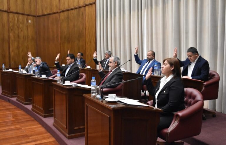 Dieron media sanción a la Boleta Única de Papel y a la eliminación de la Ley de Lemas