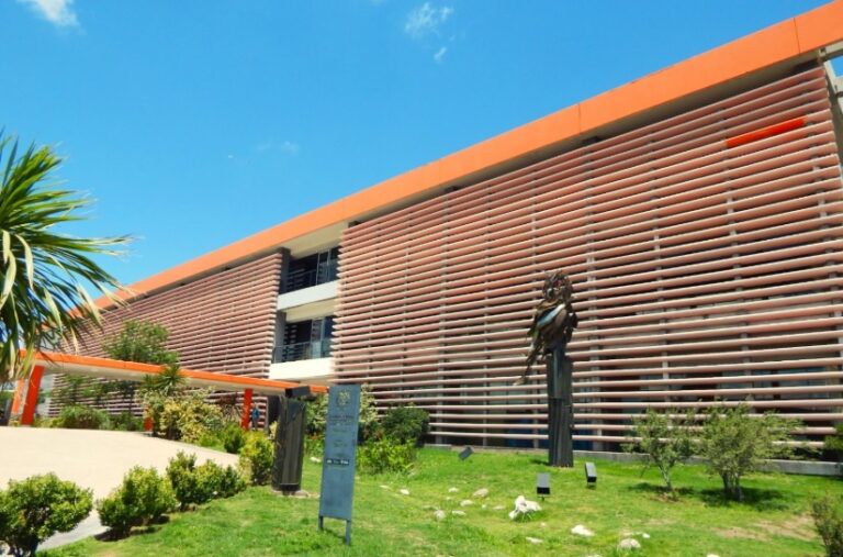Inician sumarios a empleados de planta permanente por licencias con certificados falsos