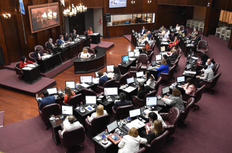San Luis tendrá un Consejo Provincial de Personas con Discapacidad