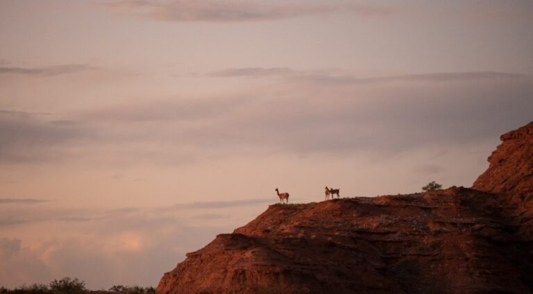 Celebrarán el día de los Parques Nacionales con una visita guiada por Sierra de las Quijadas