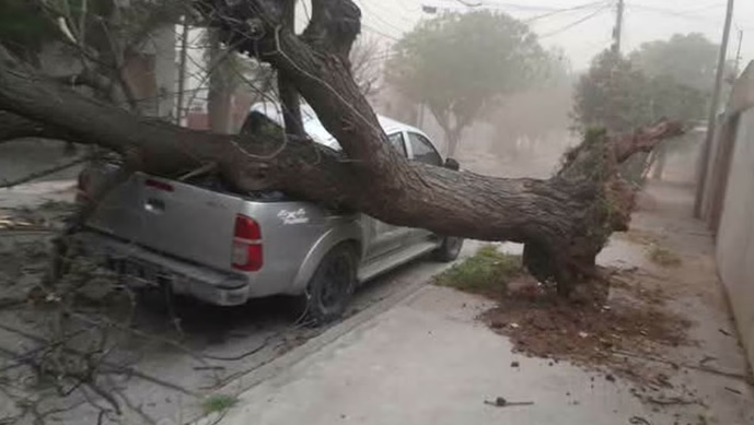 Brigadas de emergencia limpian calles y rutas y restituyen servicios básicos