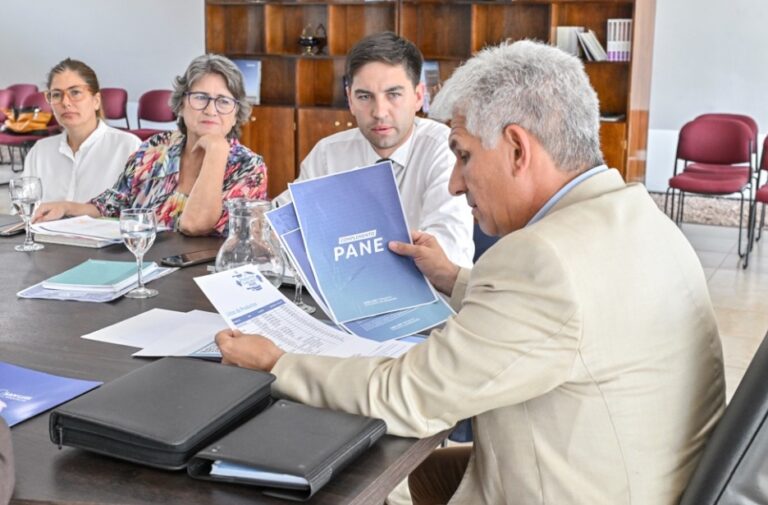 Vuelven los chicos a las aulas y el PANE los acompañará todo el año