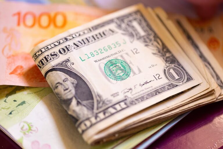Impuestos, pagos, transferencias: cuáles son las opciones del Gobierno para hacer circular los dólares “del colchón”
