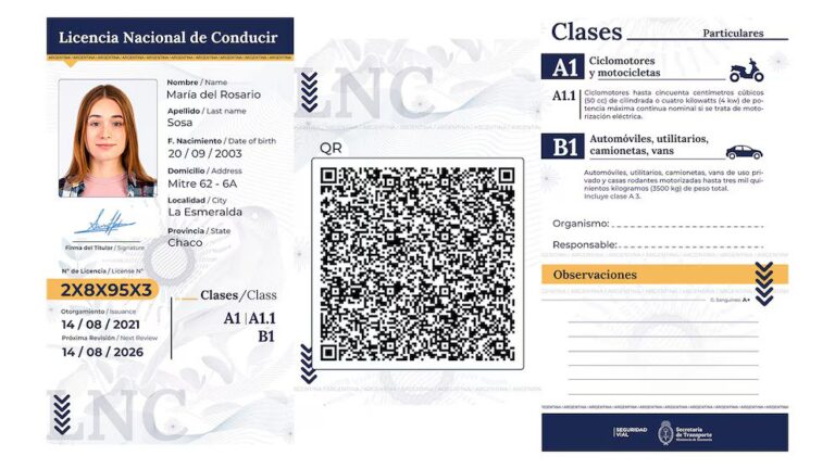Desde hoy rige la nueva Licencia de Conducir Digital: qué jurisdicciones adhirieron y cómo es el trámite online