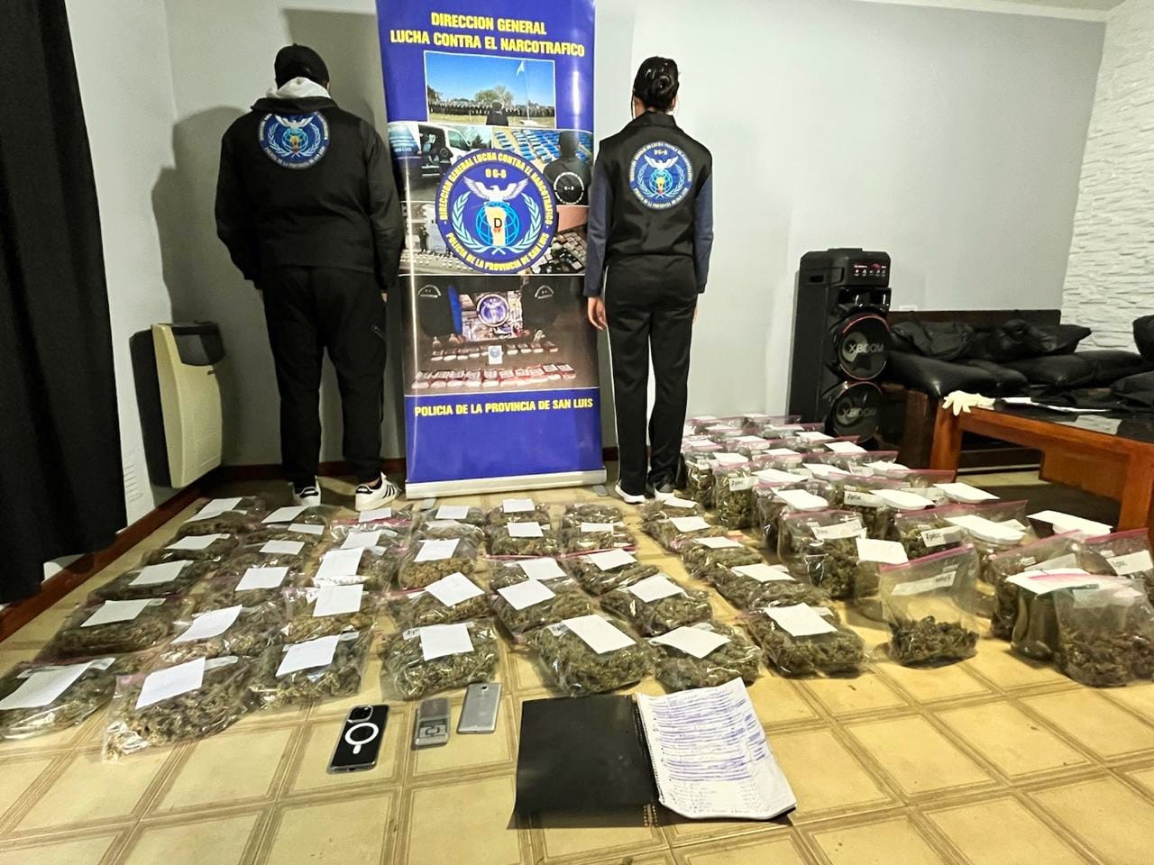 San Luis: incautan más de 52 millones de pesos en droga y detienen a un hombre